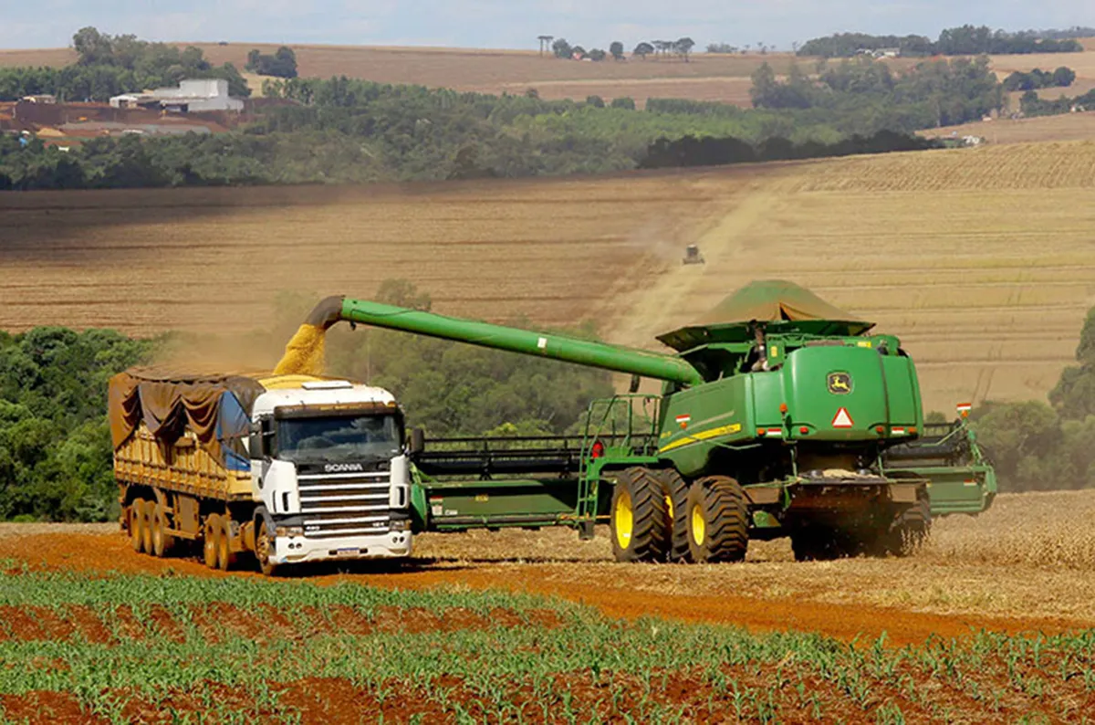 Projeções indicam mais uma safra histórica da soja. Foto: Jaelson Lucas/AEN-PR 