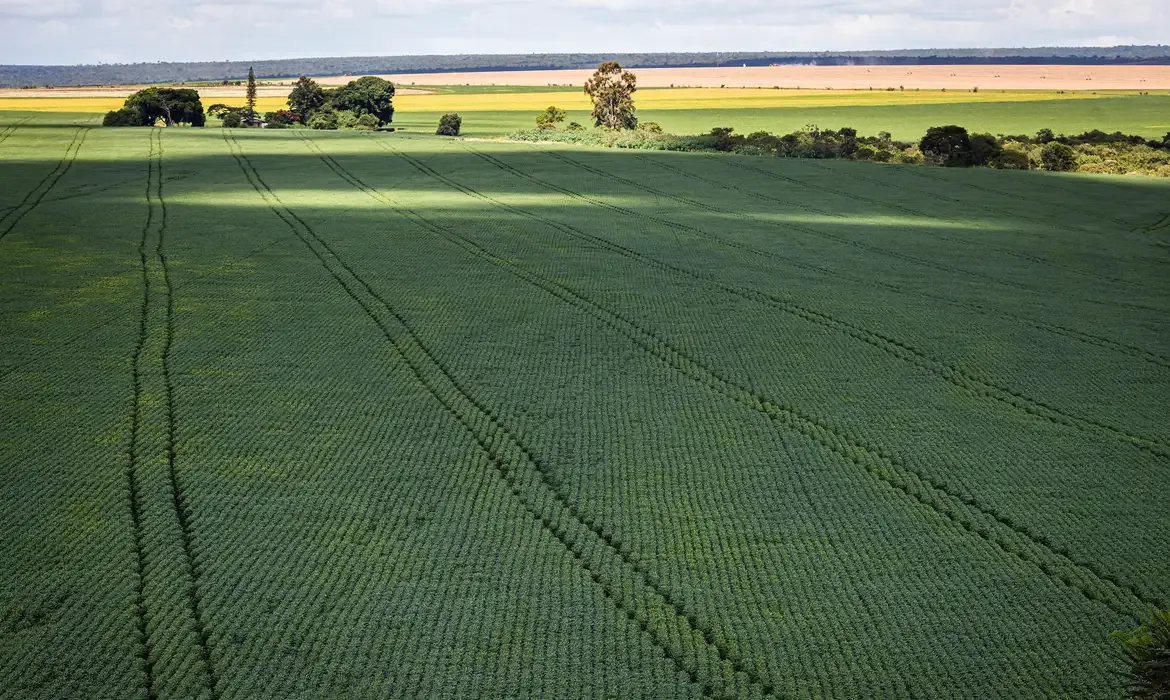 Crédito para o agro cresce 5 vezes e alcança R$ 1,4 bilhão em 2026. Foto: CNA/Wenderson Araujo/Trilux