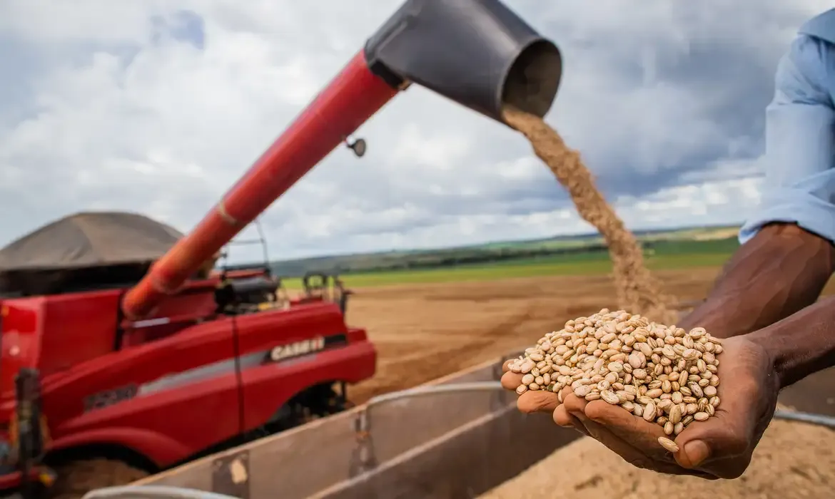 El Niño ameaça pressionar inflação. Foto: CNA/Wenderson Araujo