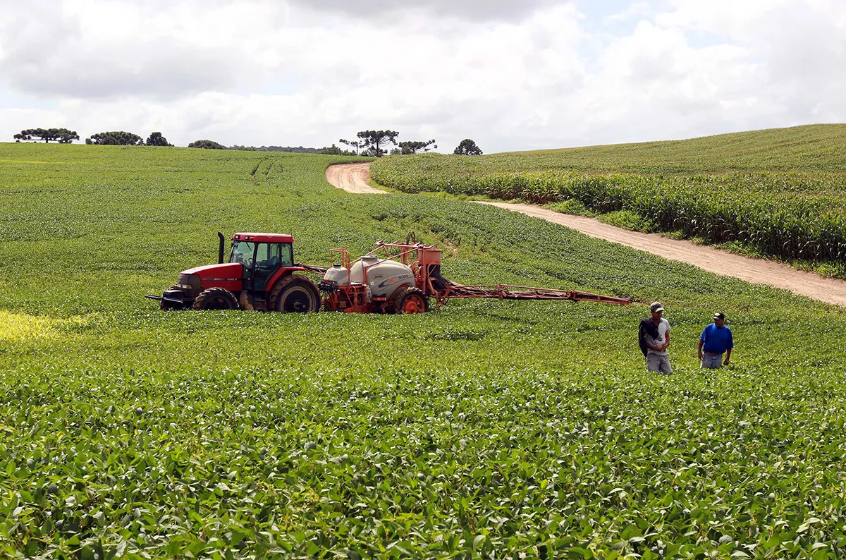 Agropecuária puxa economia e PIB cresce 0,5% no segundo trimestre de 2026