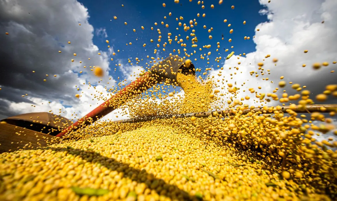 Brasília se consolida entre os principais polos agrícolas do país com faturamento recorde de R$ 1,88 bilhão. Foto: CNA/Wenderson Araujo